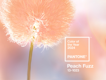 Descubra a Beleza Sutil de Peach Fuzz, a Cor do  Ano 2024!